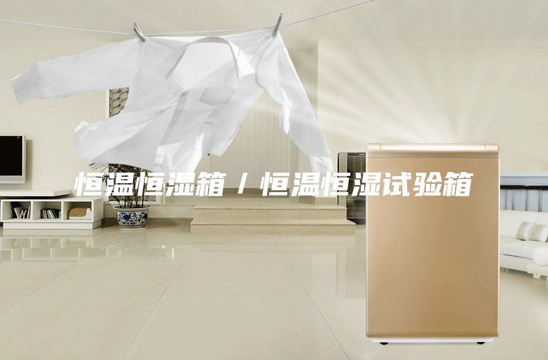恒溫恒濕箱／恒溫恒濕試驗(yàn)箱