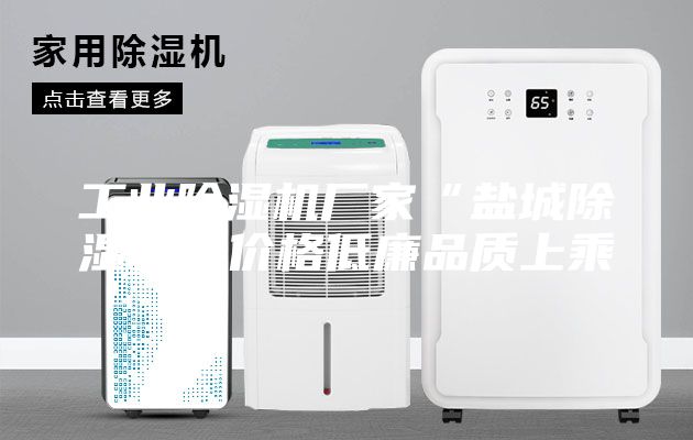 工業(yè)除濕機(jī)廠家“鹽城除濕機(jī)”價(jià)格低廉品質(zhì)上乘