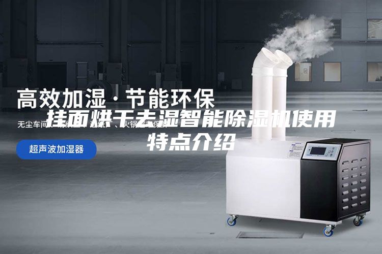掛面烘干去濕智能除濕機(jī)使用特點(diǎn)介紹