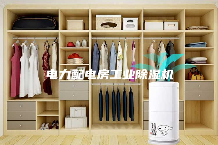 電力配電房工業(yè)除濕機(jī)