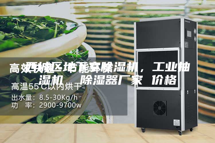 西城區(qū)地下室除濕機，工業(yè)抽濕機  除濕器廠家 價格