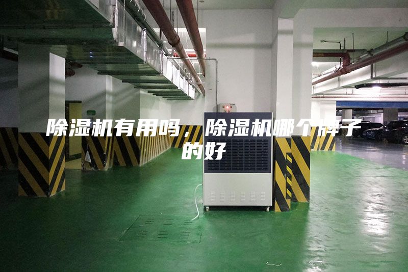 除濕機有用嗎，除濕機哪個牌子的好