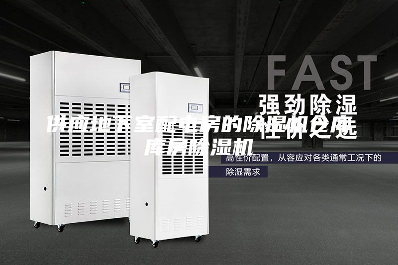 供應地下室配電房的除濕機倉庫庫房除濕機