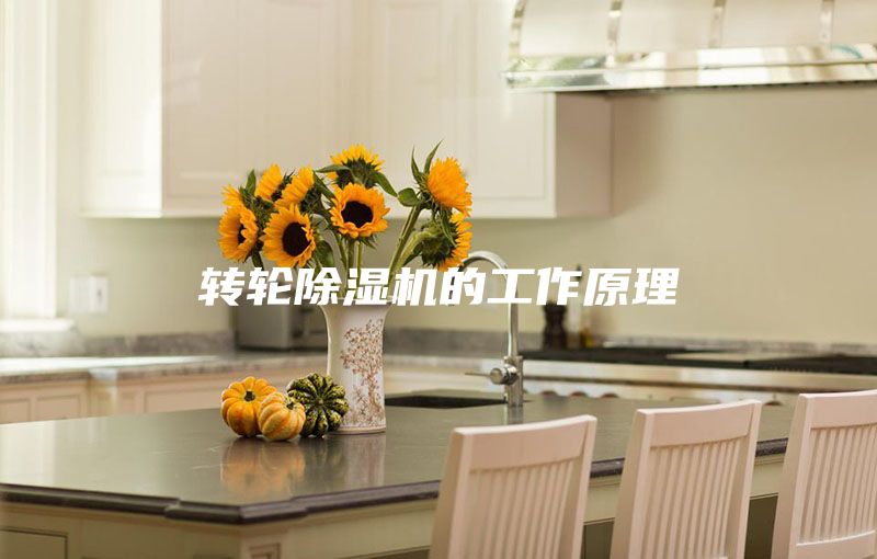 轉(zhuǎn)輪除濕機(jī)的工作原理
