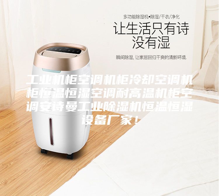 工業(yè)機柜空調(diào)機柜冷卻空調(diào)機柜恒溫恒濕空調(diào)耐高溫機柜空調(diào)安詩曼工業(yè)除濕機恒溫恒濕設(shè)備廠家！