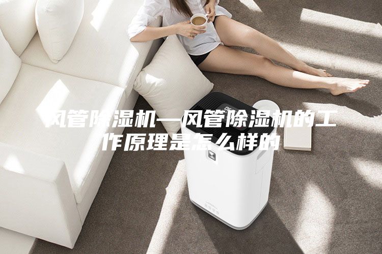 風(fēng)管除濕機(jī)—風(fēng)管除濕機(jī)的工作原理是怎么樣的