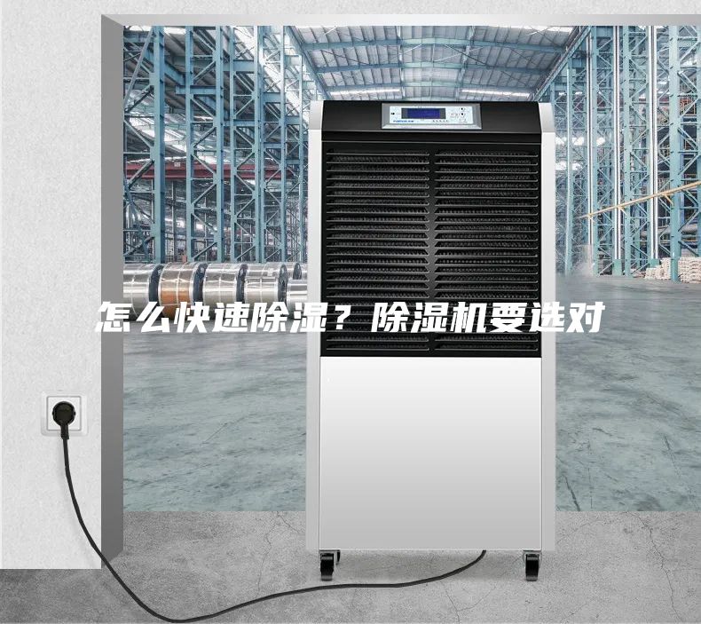 怎么快速除濕？除濕機要選對
