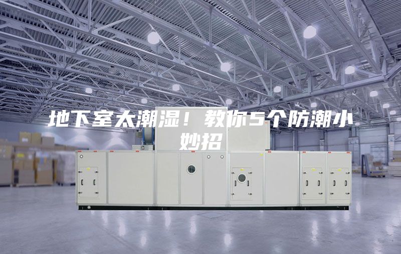 地下室太潮濕！教你5個防潮小妙招