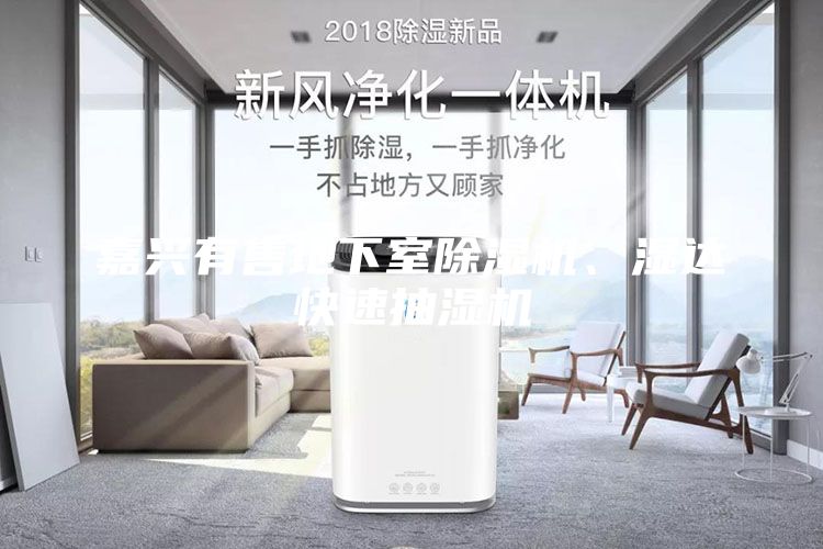 嘉興有售地下室除濕機、濕達快速抽濕機