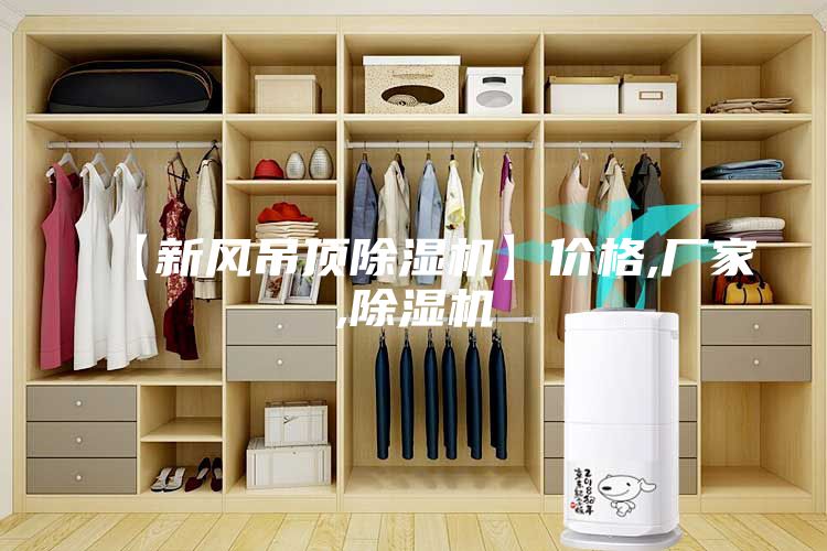 【新風(fēng)吊頂除濕機】價格,廠家,除濕機