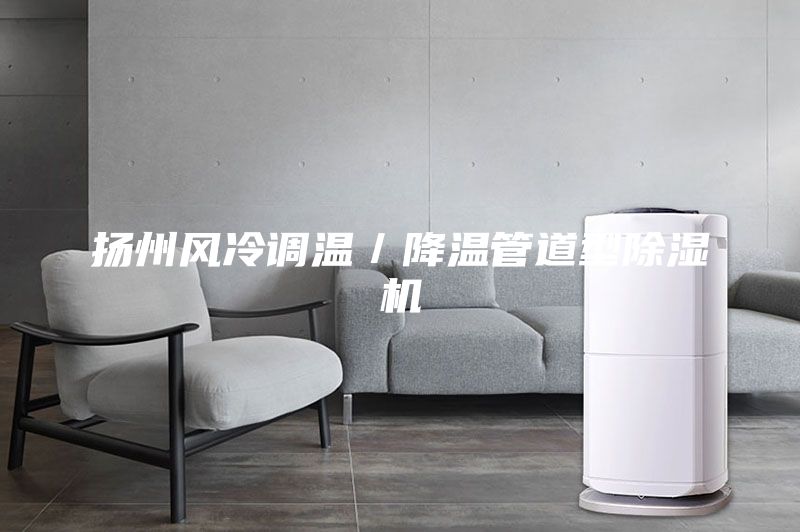 揚州風(fēng)冷調(diào)溫／降溫管道型除濕機