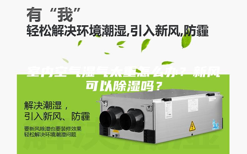室內(nèi)空氣濕氣太重怎么辦？新風(fēng)可以除濕嗎？