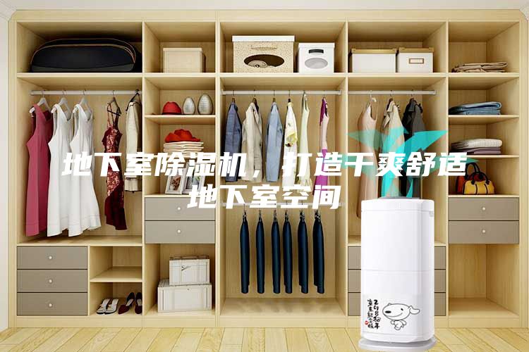 地下室除濕機，打造干爽舒適地下室空間