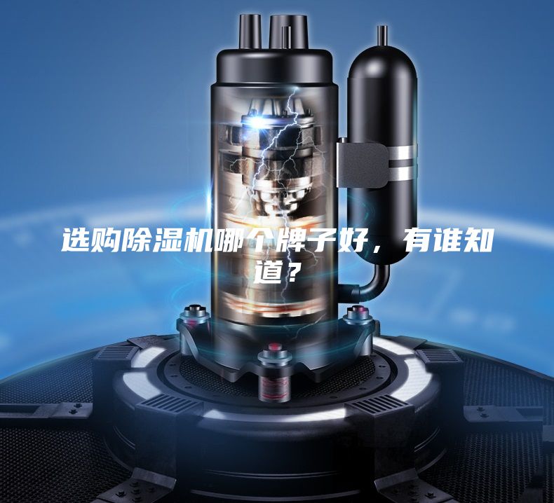 選購(gòu)除濕機(jī)哪個(gè)牌子好，有誰(shuí)知道？