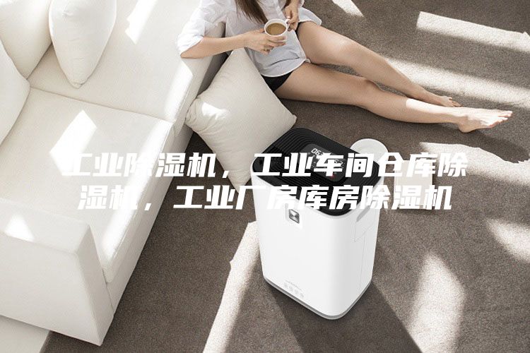 工業(yè)除濕機(jī)，工業(yè)車間倉庫除濕機(jī)，工業(yè)廠房庫房除濕機(jī)