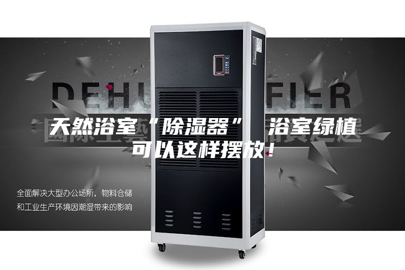天然浴室“除濕器” 浴室綠植可以這樣擺放！