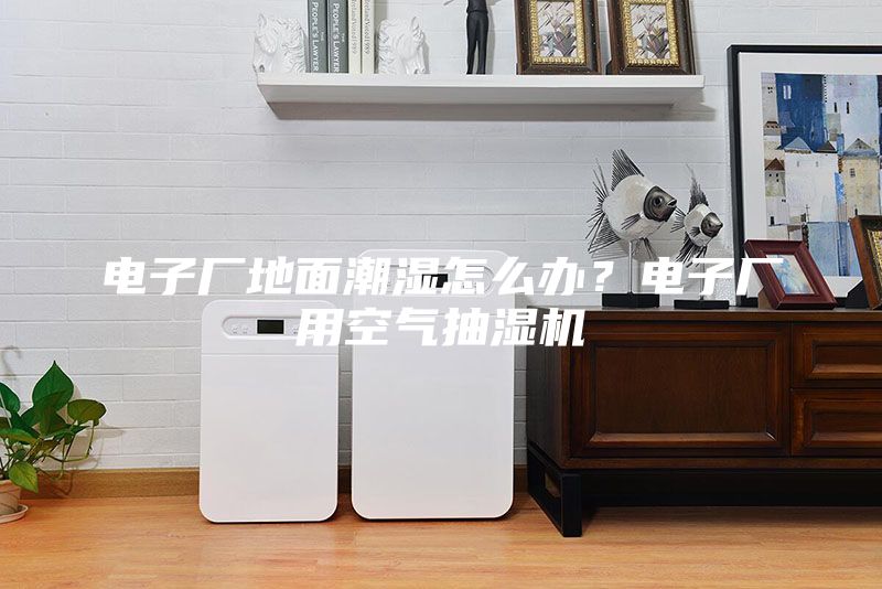 電子廠地面潮濕怎么辦？電子廠用空氣抽濕機(jī)