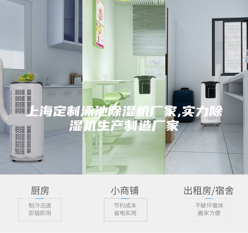 上海定制泳池除濕機(jī)廠家,實力除濕機(jī)生產(chǎn)制造廠家