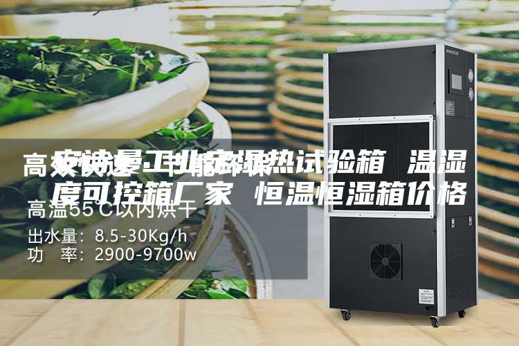 安詩曼工業(yè)定濕熱試驗箱 溫濕度可控箱廠家 恒溫恒濕箱價格
