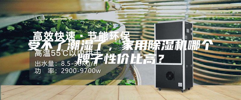 受不了潮濕了，家用除濕機(jī)哪個牌子性價比高？