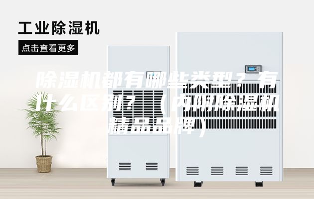 除濕機都有哪些類型？有什么區(qū)別？（內(nèi)附除濕機精品品牌）