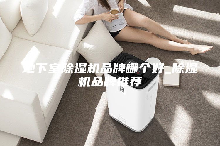 地下室除濕機(jī)品牌哪個好_除濕機(jī)品牌推薦