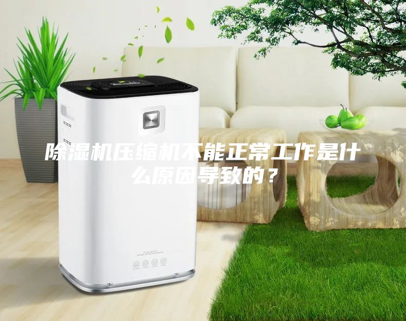 除濕機(jī)壓縮機(jī)不能正常工作是什么原因?qū)е碌模?/></p>
                            <p style=