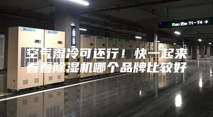 空氣濕冷可還行！快一起來看看除濕機哪個品牌比較好
