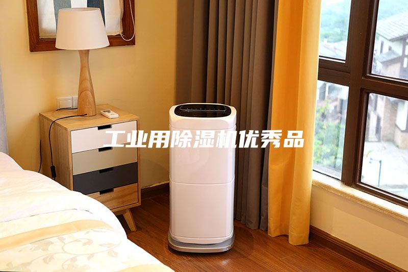 工業(yè)用除濕機優(yōu)秀品