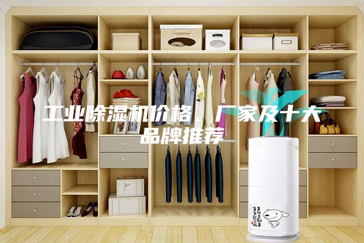 工業(yè)除濕機價格、廠家及十大品牌推薦