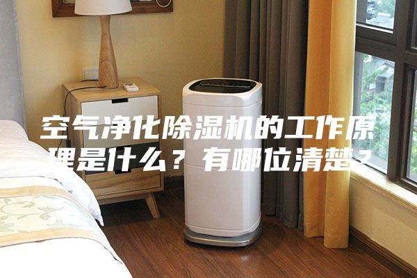 空氣凈化除濕機(jī)的工作原理是什么？有哪位清楚？
