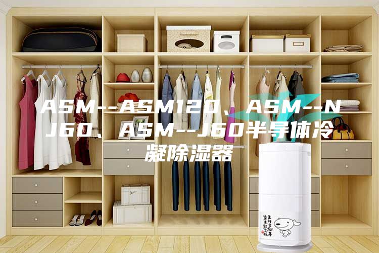 ASM--ASM120、ASM--NJ60、ASM--J60半導體冷凝除濕器