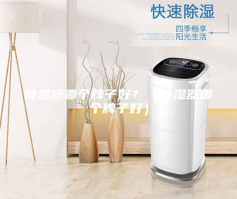 除濕器哪個牌子好？（除濕器哪個牌子好）