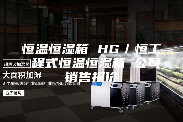 恒溫恒濕箱 HG／恒工 程式恒溫恒濕箱 公司銷(xiāo)售報(bào)價(jià)