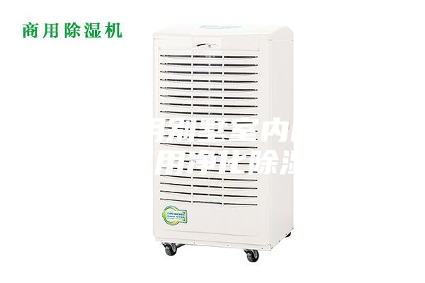 武漢家用別墅室內(nèi)除濕機，商用凈化除濕機