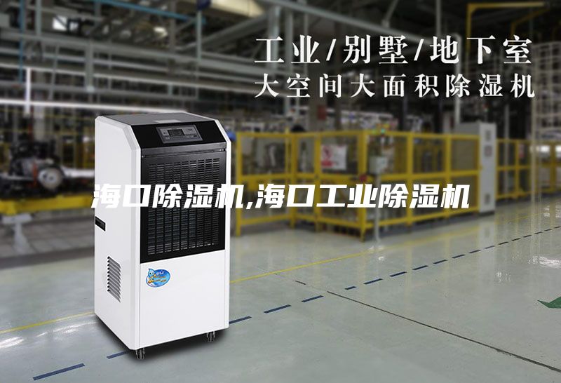 ?？诔凉駲C,?？诠I(yè)除濕機
