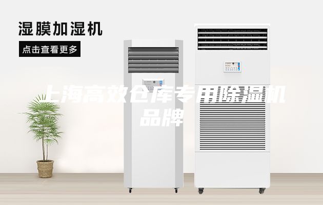 上海高效倉(cāng)庫(kù)專(zhuān)用除濕機(jī)品牌