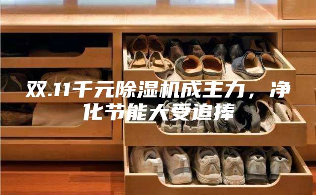 雙.11千元除濕機(jī)成主力，凈化節(jié)能大受追捧