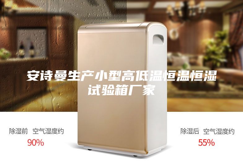 安詩曼生產(chǎn)小型高低溫恒溫恒濕試驗箱廠家