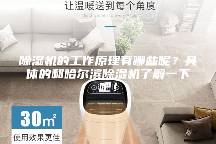 除濕機的工作原理有哪些呢？具體的和哈爾濱除濕機了解一下吧！