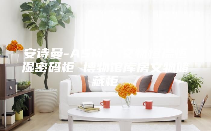 安詩曼-ASM  文物恒溫恒濕密碼柜 博物館庫房文物儲(chǔ)藏柜