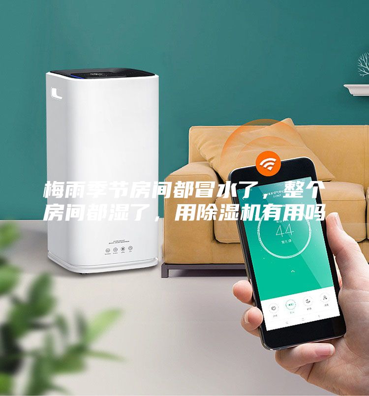 梅雨季節(jié)房間都冒水了，整個房間都濕了，用除濕機有用嗎
