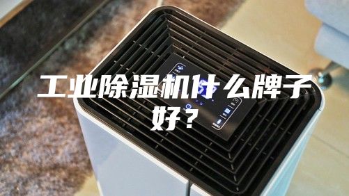 工業(yè)除濕機什么牌子好？