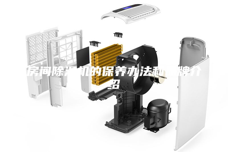 房間除濕機的保養(yǎng)辦法和品牌介紹