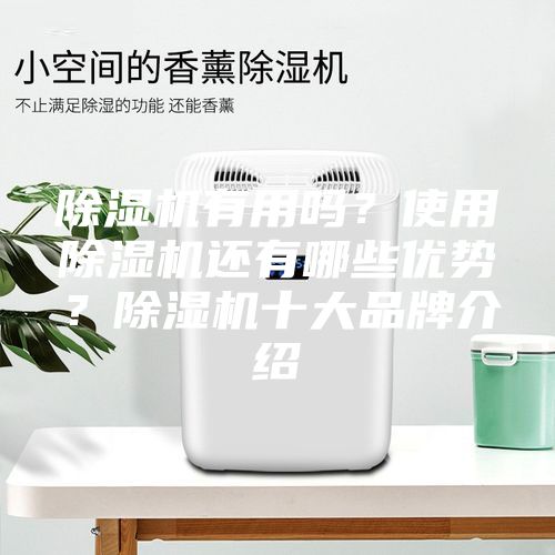 除濕機(jī)有用嗎？使用除濕機(jī)還有哪些優(yōu)勢(shì)？除濕機(jī)十大品牌介紹