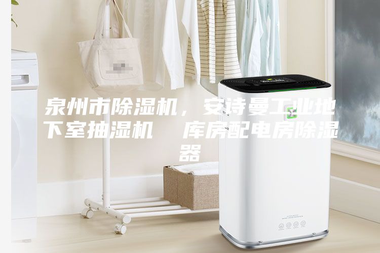 泉州市除濕機，安詩曼工業(yè)地下室抽濕機  庫房配電房除濕器
