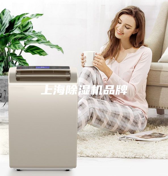 上海除濕機(jī)品牌