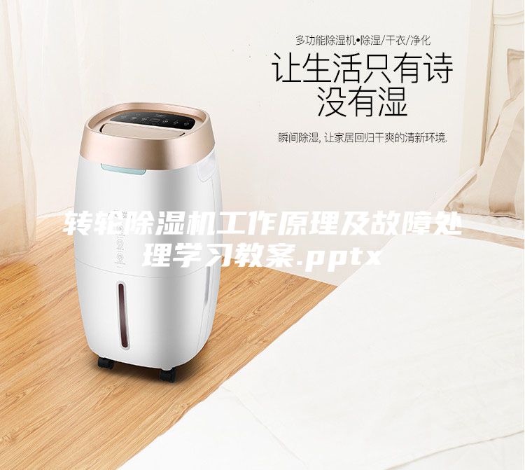 轉(zhuǎn)輪除濕機(jī)工作原理及故障處理學(xué)習(xí)教案.pptx