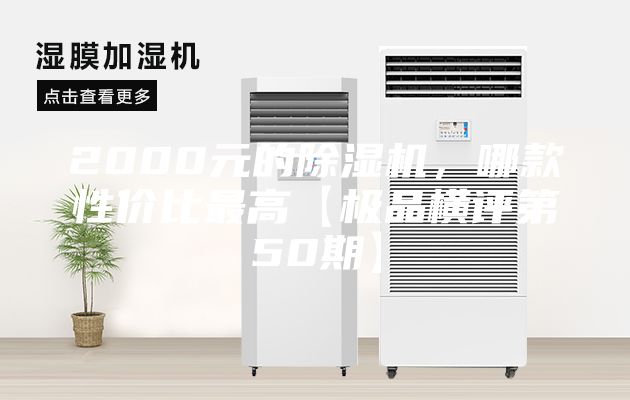 2000元的除濕機，哪款性價比最高【極品橫評第50期】