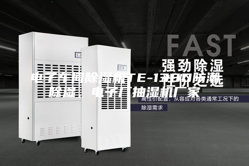 電子車間除濕機(jī)TE-138D防潮除濕，電子廠抽濕機(jī)廠家